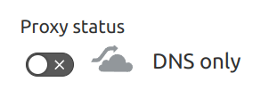 screenshot of Cloudflare DNS proxy setting turned off